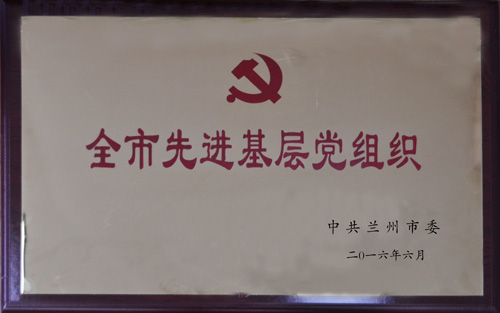 全市先進基層黨組織.jpg
