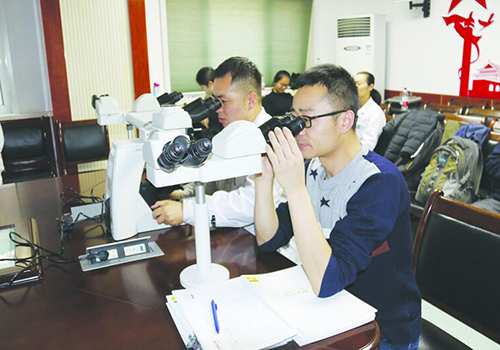 6af6dfa57e.jpg QQ圖片20181207102044.jpg