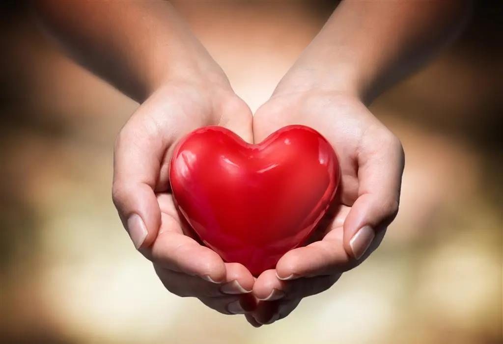 a668378835.jpg 微信圖片_20200326154326.jpg