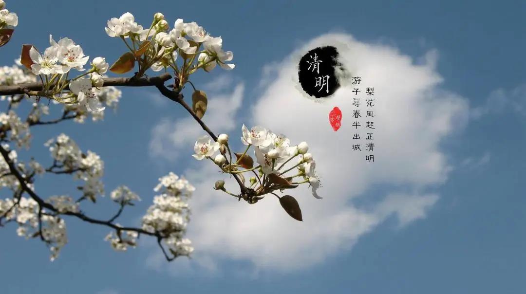 e7e50e3cc4.jpg 微信圖片_20200424091754.jpg